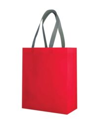 Laminated TNT Shopping Bag