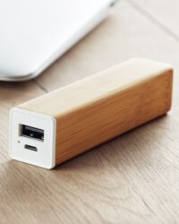 Bamboo Power Bank