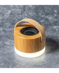 Ecological Bluetooth Speaker Wales