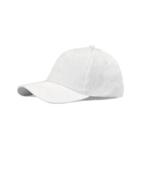 Basic Baseball Hat