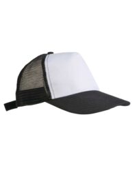 Baseball Cap with Mesh