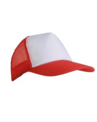 Baseball Cap with Mesh