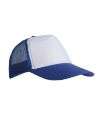 Baseball Cap with Mesh