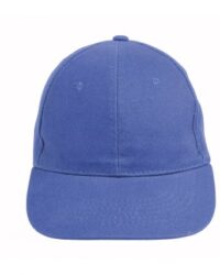 Heavy Cotton Cap