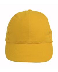 Heavy Cotton Cap