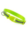 Reflective Collar