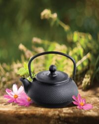 Cast Iron Teapot