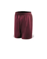 Dynamic Sport Shorts