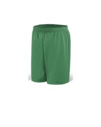 Dynamic Sport Shorts