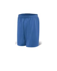 Dynamic Sport Shorts