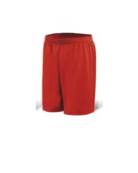 Dynamic Sport Shorts