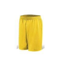 Dynamic Sport Shorts