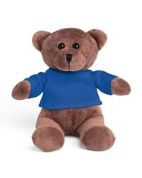 Teddy Bear with T-shirt