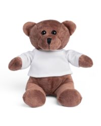 Teddy Bear with T-shirt