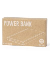 Metallic Travel Power Bank